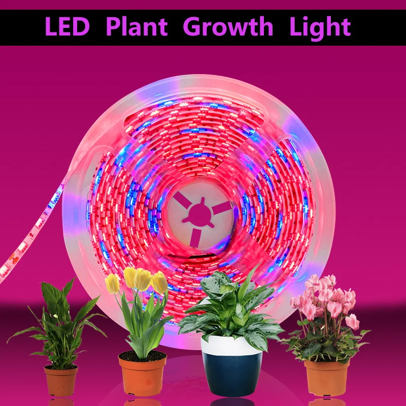 20M LED Plant Grow Strip lights Full Spectrum Flower phyto lamp Waterproof for Greenhouse Hydroponic Growth Light +Power adapter