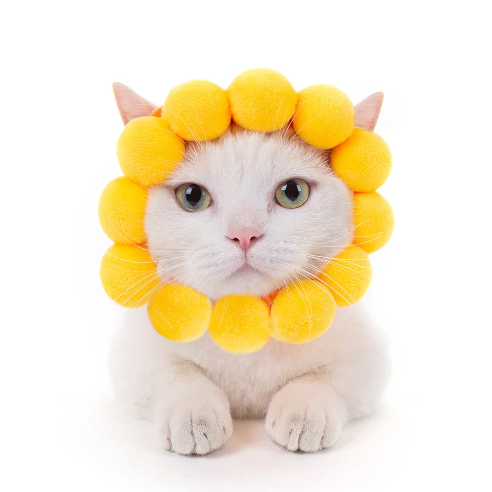 Милая кошка, кролик, Лев, шляпа лягушки, одежда для собак, Забавный Рождественский костюм на Хэллоуин для собак, Ropa Para Gato Disfraz Leon