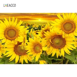 Laeacco подсолнухи поле закат сумерках живописные фотографии Фоны индивидуальные винил фотографические фонов для фотостудии