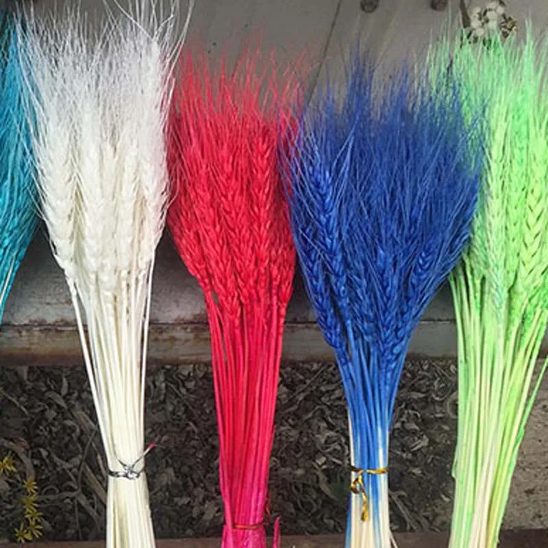 50/PSC ячмень, пшеница, сухой цветок, натуральный дом, отель, Цветочная композиция, универсальный подарок для съемки сухой пшеницы и пшеницы, композиция