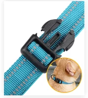 Reflective Padded Nylon Dog Collar & Leash