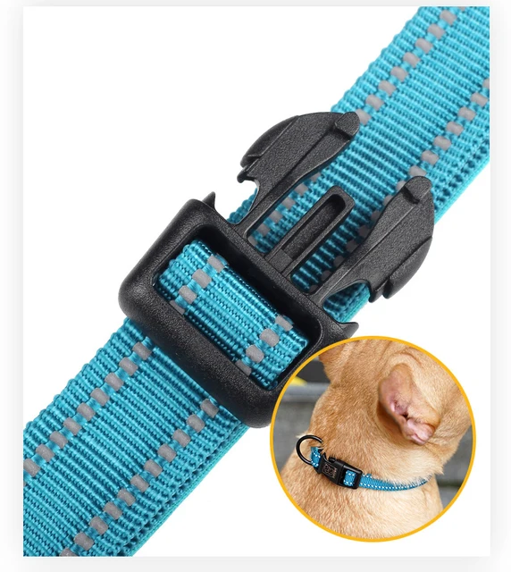 Reflective Padded Nylon Dog Collar & Leash