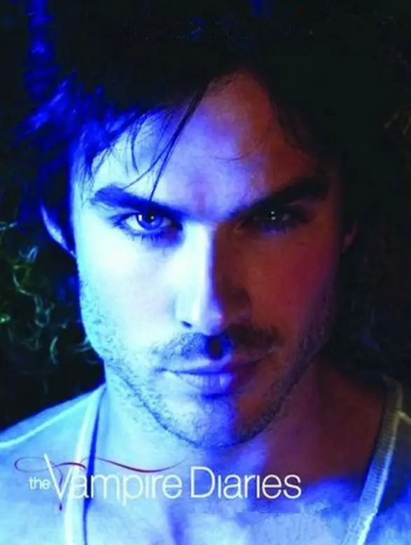 Pittura Diamante 5D The Vampire Diaries Diamante Ricamo Poster Diamante Pieno Kit Punto Croce Mosaico Decorazione Della Parete Di Casa Art