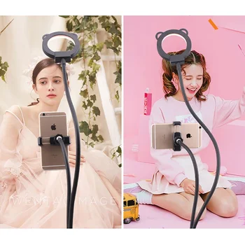 

USB Charge Bedside Lamp Selfie Ring Light with Cell Phone Holder Stand Double Hose Fill Light Bracket Lazy Bracket Lamp