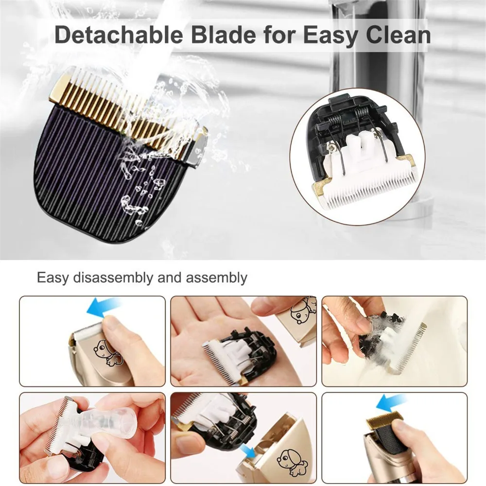 71nn6tnFrXL._AC_SL1200_