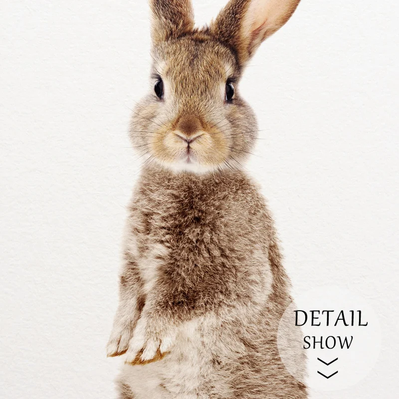 nursery bunny prints