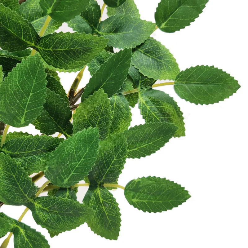 12001156529_1493019570