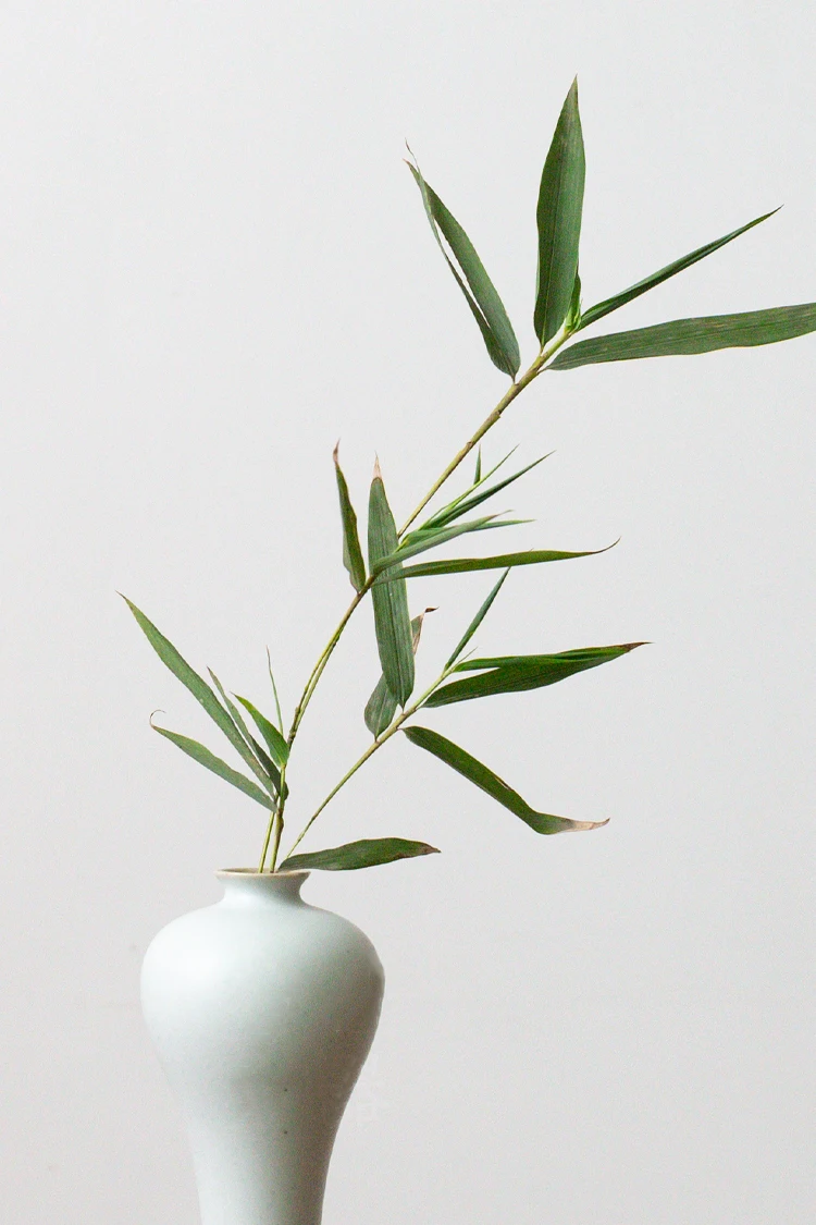 O1CN01XOH64C1QAjIcxI3a9_!!2032041936