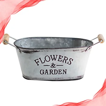

Vintage Iron Bucket Succulent Flower Pot Creative Decorative Bucket European Style Bucket Silver