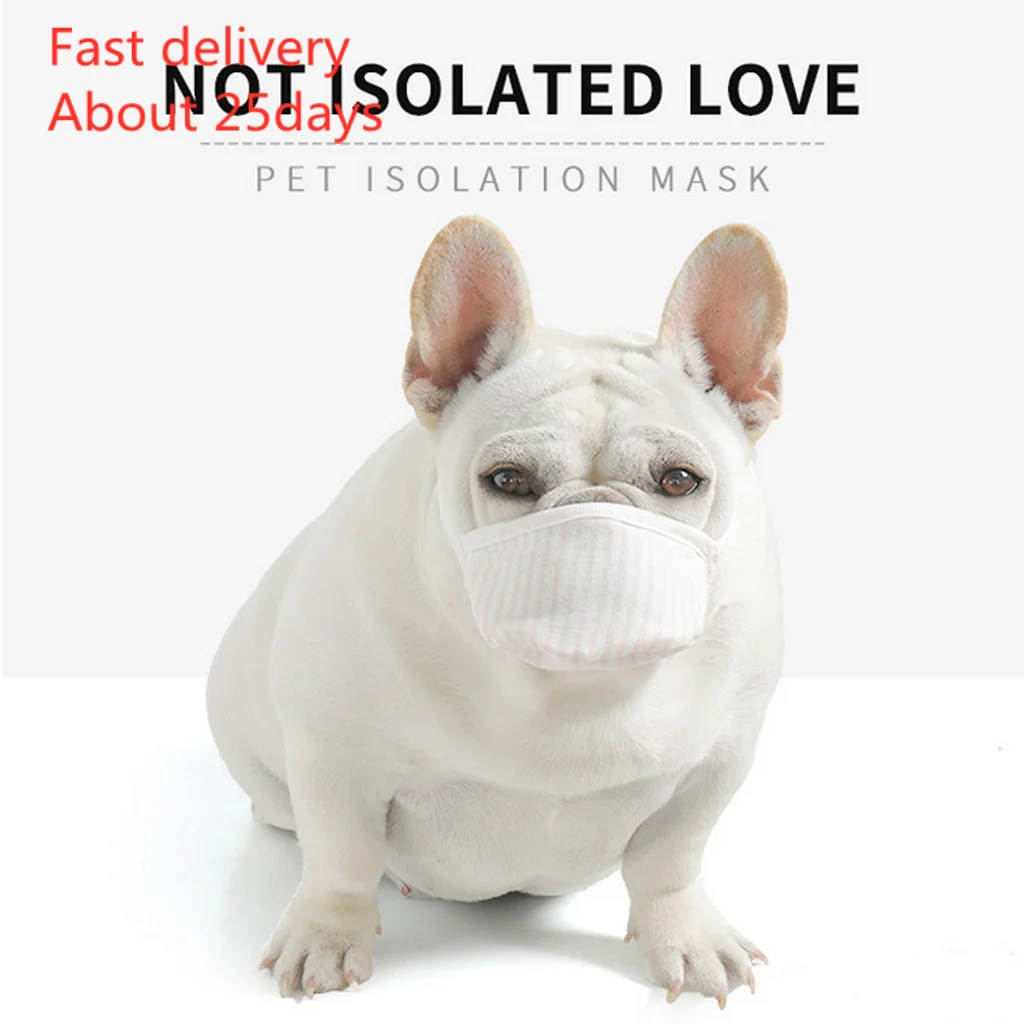 

In Stock Mask 3Pcs Dog Soft Face Cotton Mouth Mask Pet Respiratory Filter Anti Dust Mask Fast Delivery