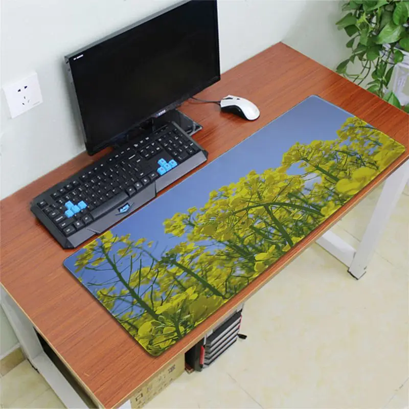 Lock Edge 30x80cm Babaite,, большой красивый игровой коврик для геймера, коврик для мыши,, большой коврик для мыши, коврик для клавиатуры - Цвет: Lock Edge 30x80cm