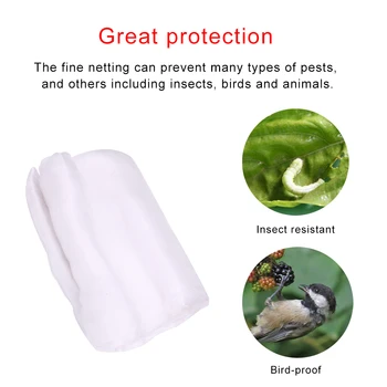 

Greenhouse Protective Net Fruit Vegetables Care Cover Insect Net Plant Covers Net Garden Pest Control Anti-bird Mesh Net