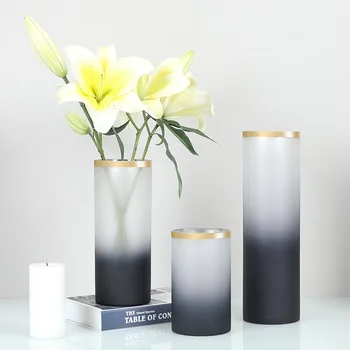 

Nordic Gradient Frosted Paint Vases Home Decoration Flower Arrangement Transparent Hydroponic Living Room Decoration Furnishings