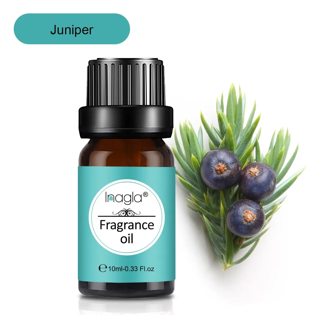 Juniper.jpg_.webp