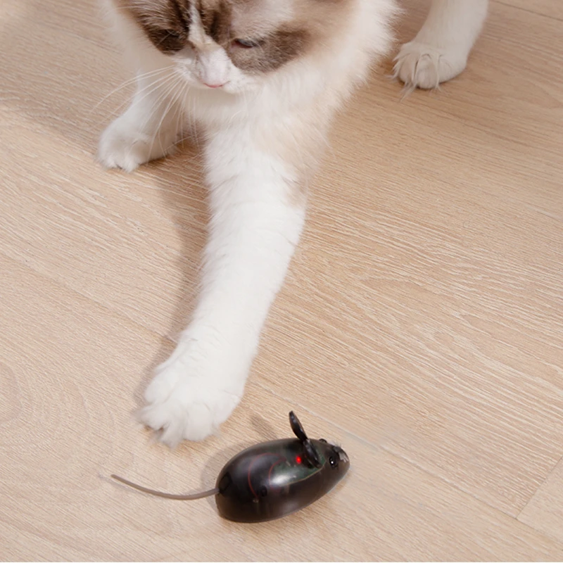 O1CN01T0t71P1KHFG10iE8R_!!2257681138