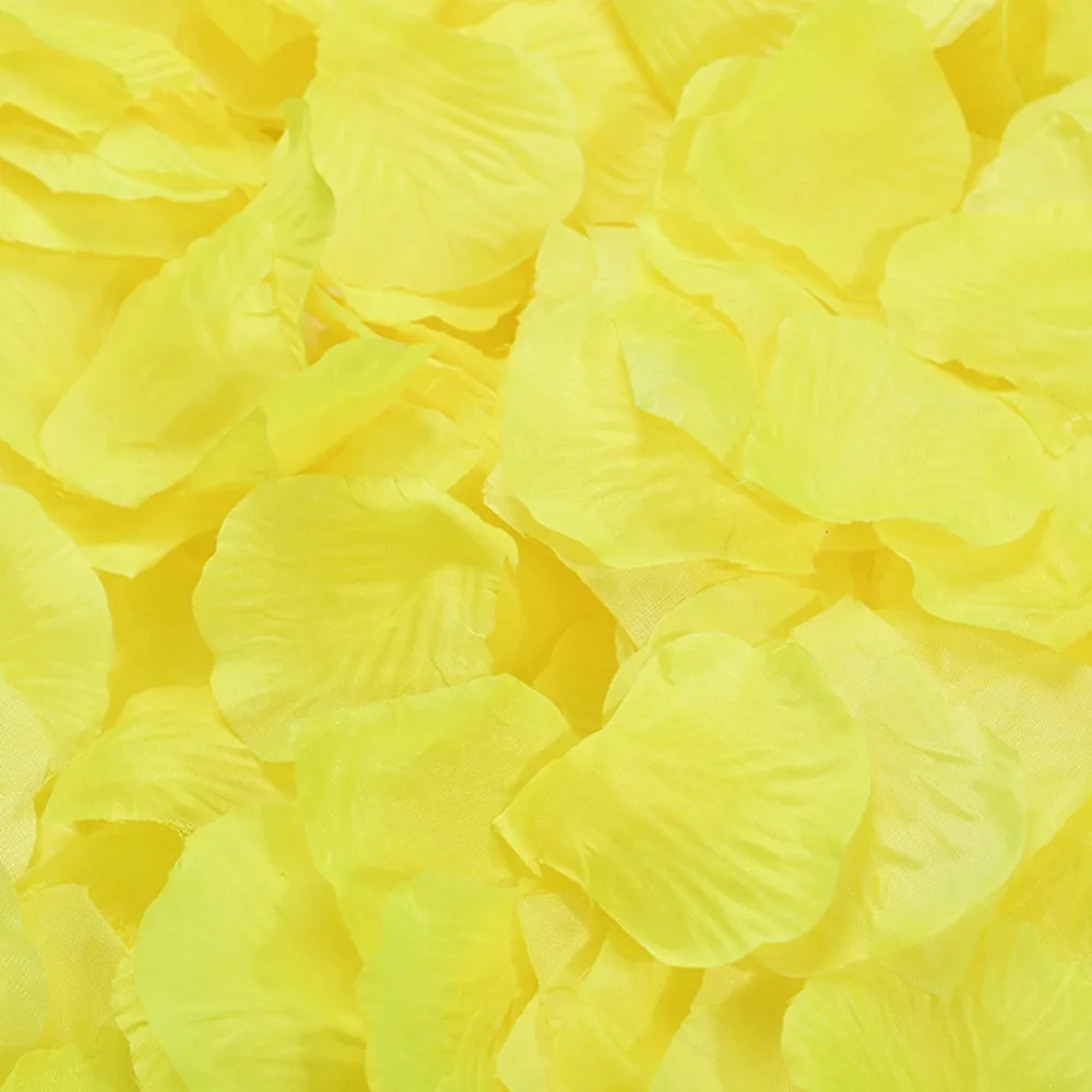 307541_no-logo_307541-2-06-g