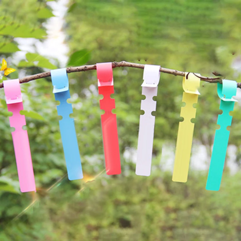 High quality 100* Plant Labels PVC 2*20cm Durable Waterproof Suitable For Orchid Rose Shrubs Small Iron Herbaceous Liana Plants