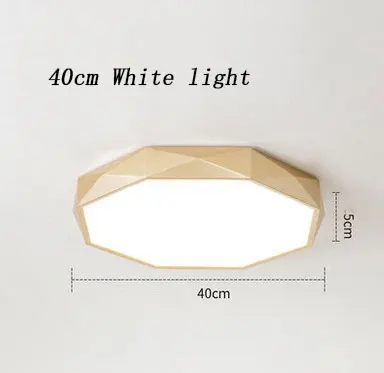 Новинка, скандинавский светодиодный потолочный светильник для спальни, простой ресторанный светильник для гостиной, круглый потолочный светильник для дома - Цвет корпуса: 40cm White light