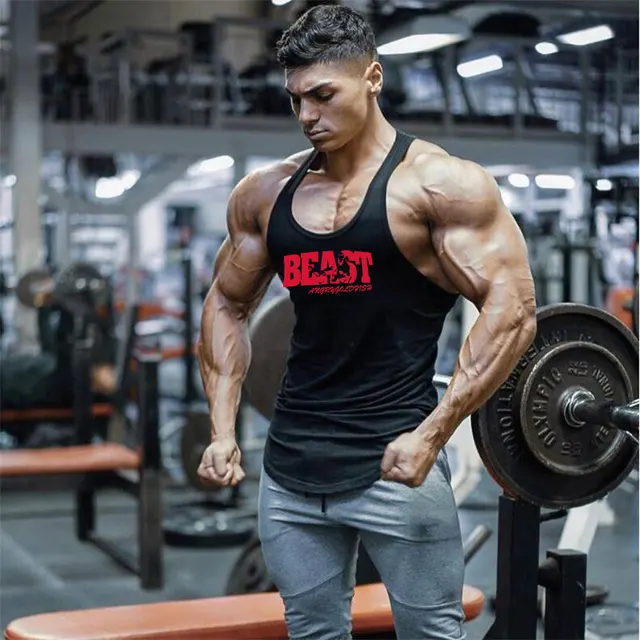 Ginásio winer homem besta musculação stringer ginásios tanque topo de  fitness singlet algodão sem mangas camisa colete muscular - AliExpress