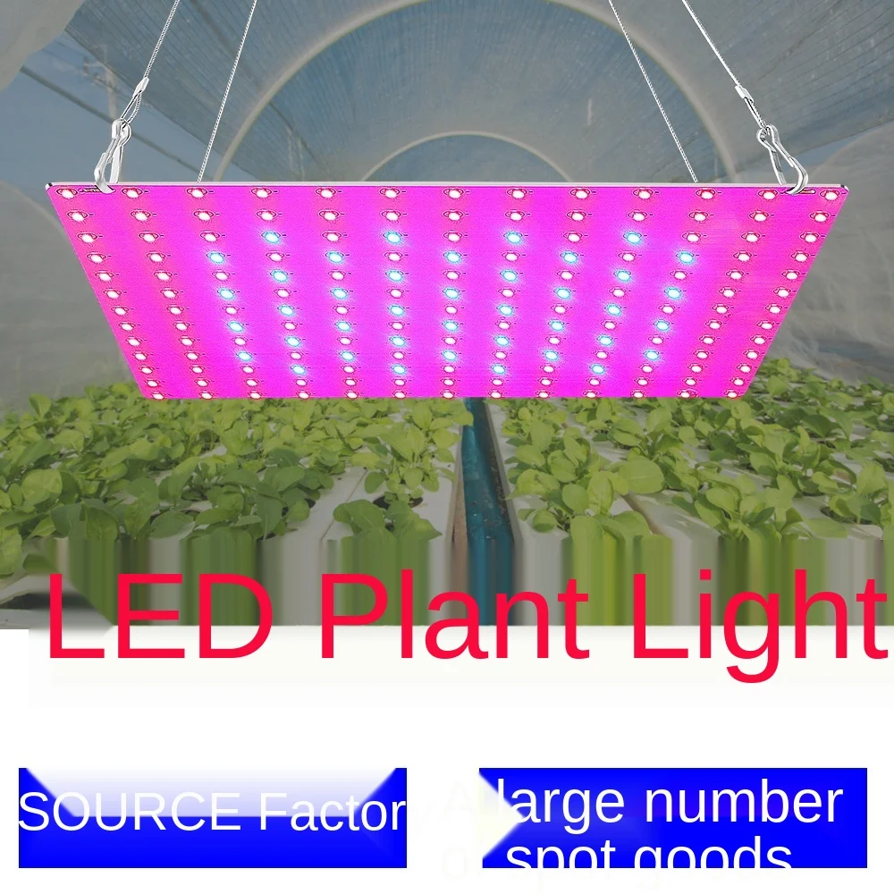 LED Plant Growth Light Red and Blue Spectrum Flowers and Fleshy Fill Light Planting Indoor Quantum Board Plant Fill