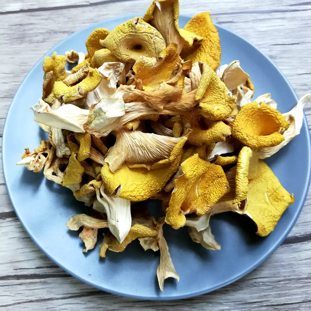 Cogumelo Cantharellus Chanterelle Cogumelos Selvagens Secos Amarelo Colheita Aliexpress