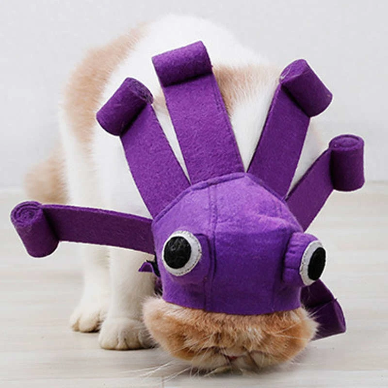 halloween-cat-costume(11)