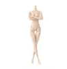 Joints Doll Body for PP/FR/BABI/SINBA 1/6 Dolls Naked Body Female Doll Fairytales Doll Bodies Doll Accessories Kids Gifts ► Photo 2/6