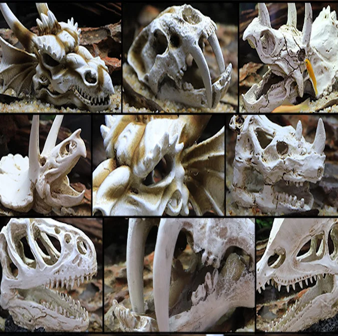 PROD 1005003115137353 Dinosaur Skull Escape House Resin Crawling Pet
Reptile Aquatic Landscaping Simulation Tank Aquarium Decorative
Ornaments
