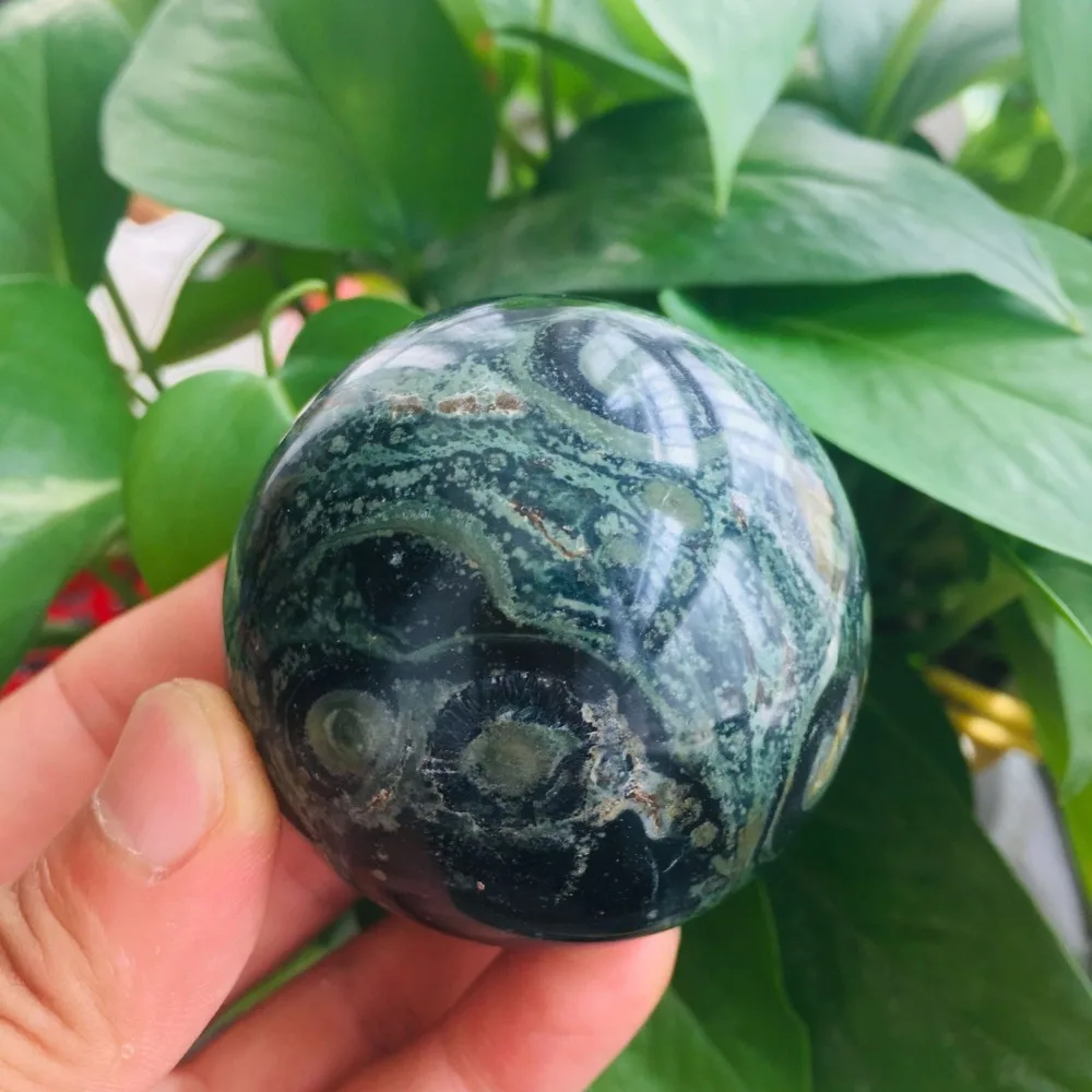 QQ图片20190902210910