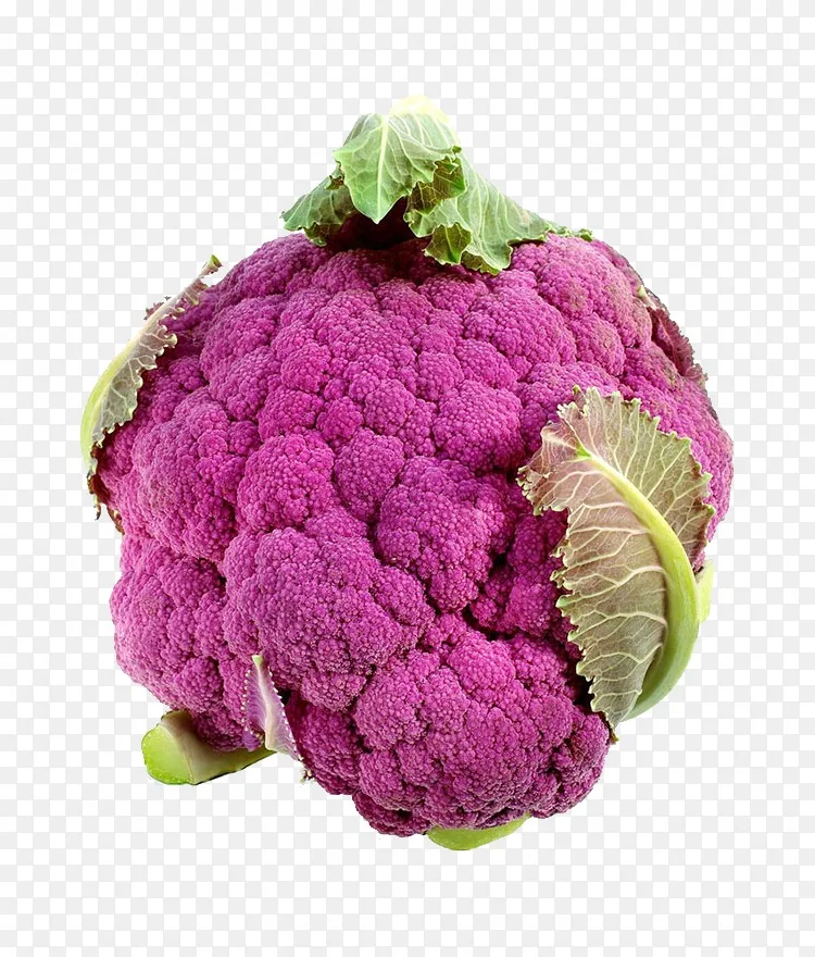 花椰菜紫色蔬菜种子紫色花椰菜png图片素材免费下载 图片编号 Png素材网