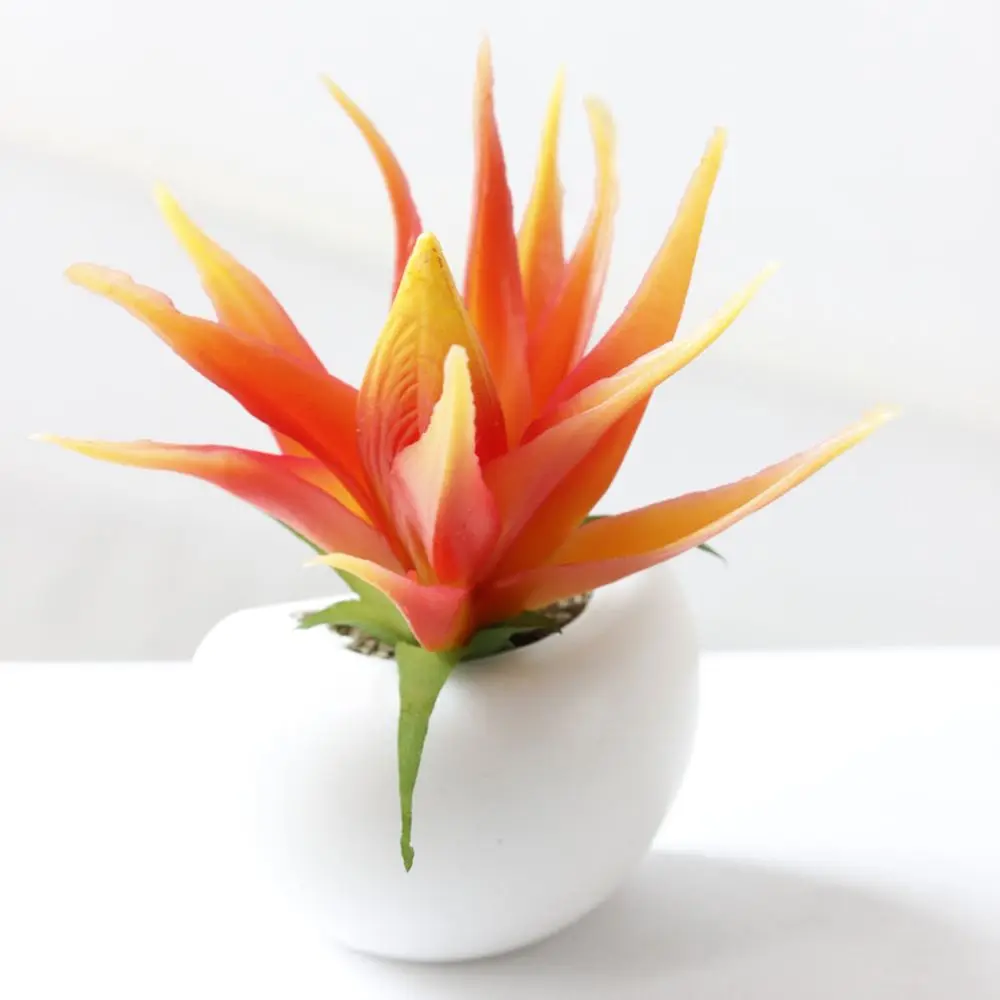 Hcf73640383df4d71abd0b81ac793e1e07.jpg?width=1000&height=1000&hash=2000