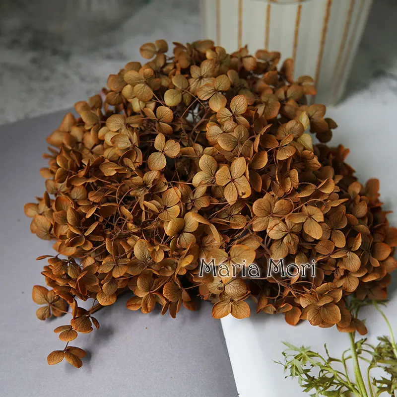 Anna Hydrangea  Flowers  Little  Leaves Preserved Hydrangea Decor  Office Decor  DIY Flowers