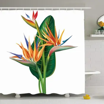 

Shower Curtain for Bathroom 72x78 Colorful Paradise Strelitzia Reginae Birdofparadise Flower Nature Bird Green Tropic Jungle