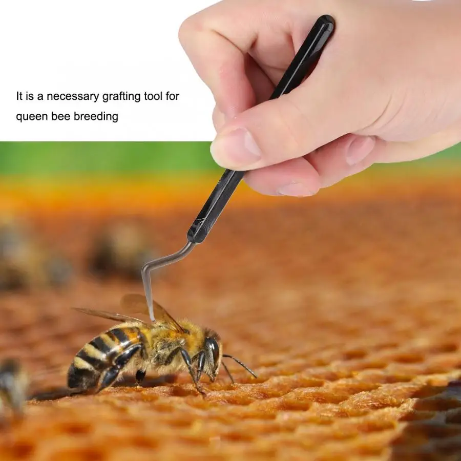 Пчеловодство, 3 шт., пчеловодство, шифт, мед, пчелиная личинка, подвижный инструмент для прививки, инструменты для пчеловодства, оборудование для выращивания, медное покрытие