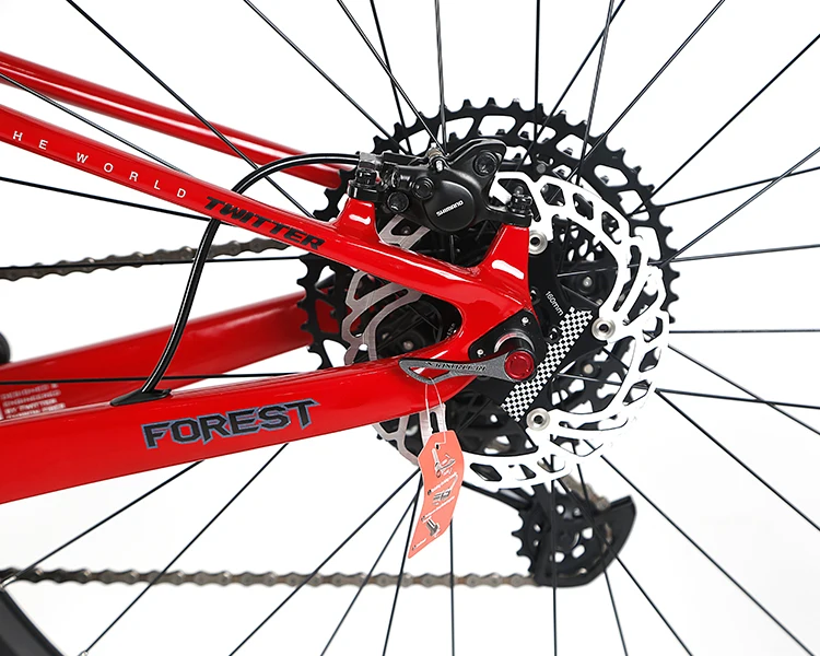 Twitter Forest Sx-12speed Mountain Bike 