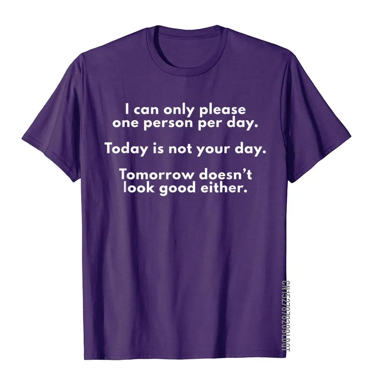 I Can Only Please One Person Per Day Sarcastic Funny T-Shirt__B9292purple