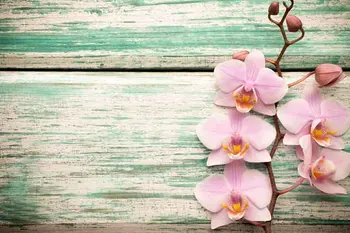 

SHENGYONGBAO Art Fabric Custom Photography Backdrops Prop Wood Planks Theme Photo Studio Background SC19924-03