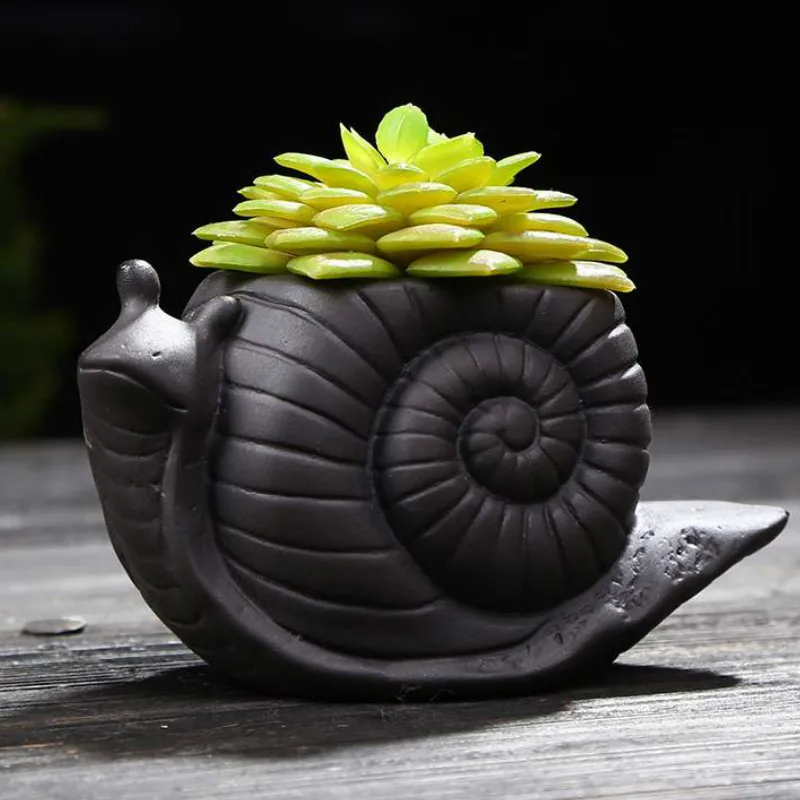 

Black creative snail modeling flowerpot purple sand fleshy green plant small potted ornaments WF902510