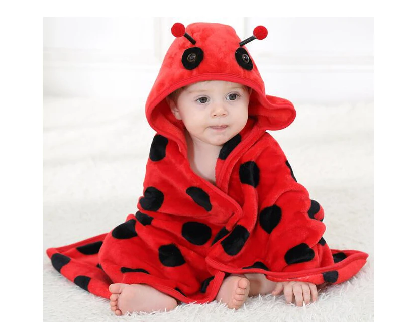 ladybug