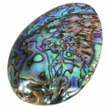 

Seashell Abalone Shell Pendant Smudging Beach House Decor Natural Rainbow Gifts