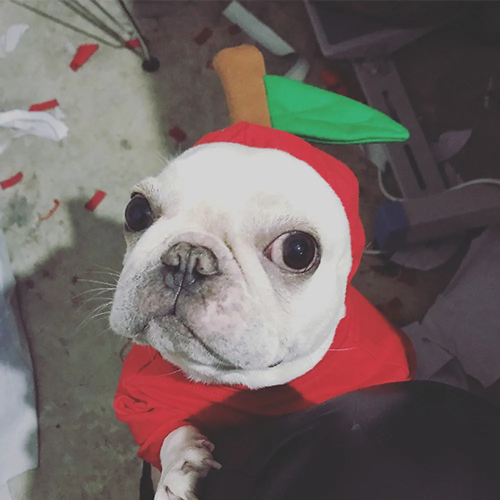Горячая Распродажа, зимняя одежда для собак на Рождество, куртки для собак, одежда с отворотами, милая модная толстовка с яблоком, Рождественский костюм для собак
