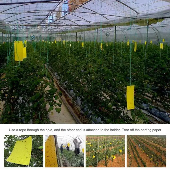 Сильные мухи ловушки жуки липкая доска 10 шт. ловить Aphid средство от насекомых борьбы с вредителями белизна Thrip листовой стикерсы на клею