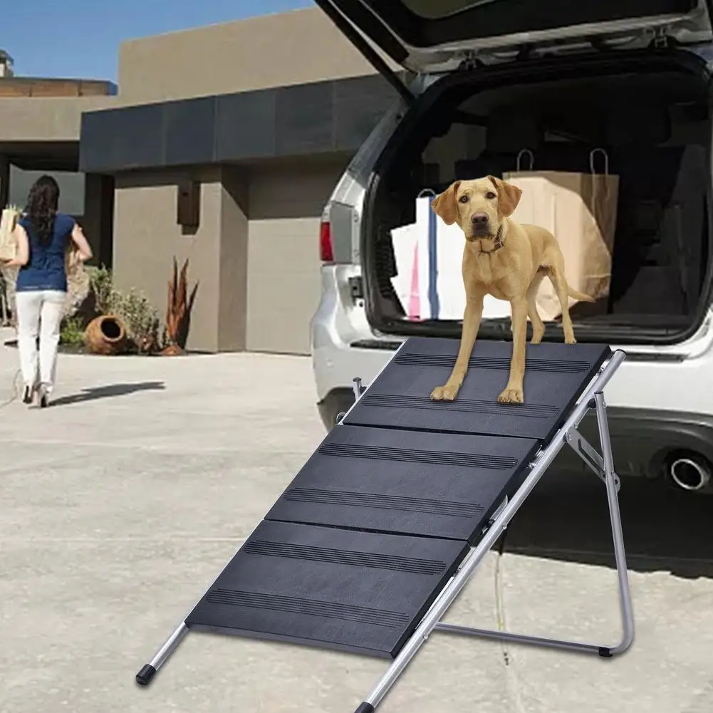 Casas, canis e canetas