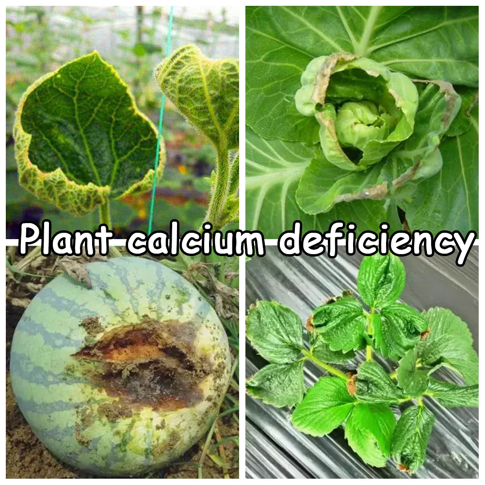 光影魔术手拼图