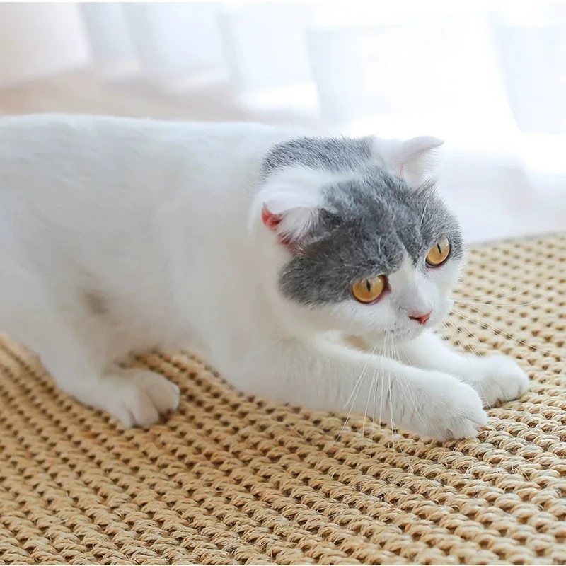 

Natural Sisal Cat Scratcher Mat with A Toy Mouse for Cat Climbing Frame Grinding Claws Creative Pet Cat Toys