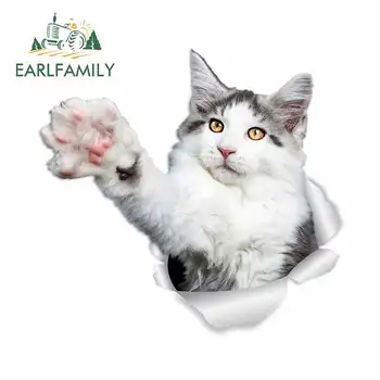 

EARLFAMILY 13cm x 12.6cm for New Pet Decals Winston Bear Tear Cat car Stickers Trunk Laptop Surfboard Motorcycle Vehicle Decal