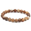 Picture Jasper