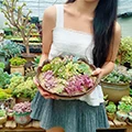 Shop5598238 Store