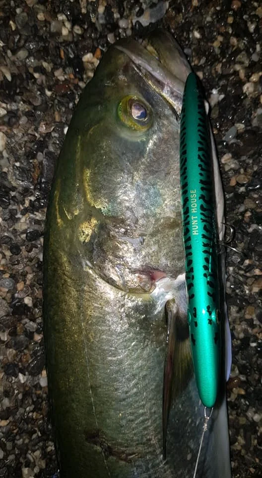 Hunthouse stickbaits приманка для рыбалки Карандаш жесткие рыболовные приманки Топ воды плавающие 195 мм 44 г Длинные литья плавающие приманки происхождения