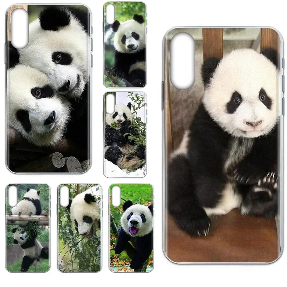 Keep Calm And Be A Panda для Galaxy Note 10 A10E A10S A20S A30S A40S A50S A6S A70S A730 A8S M10S M30S Lite Plus Мягкий узор |